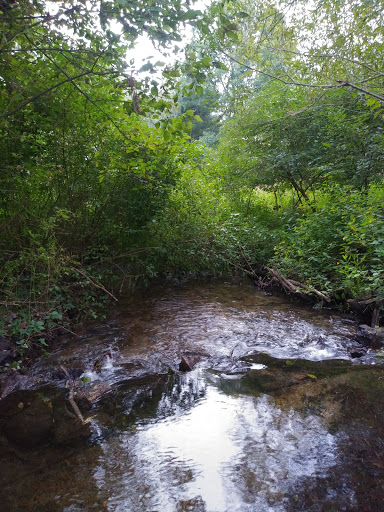 Nature Preserve «Bow in the Clouds Preserve», reviews and photos, 1805 Nazareth Rd, Kalamazoo, MI 49048, USA