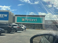 Petland Nashville - Photo 2 - Car repair in Madison, TN, Nashville