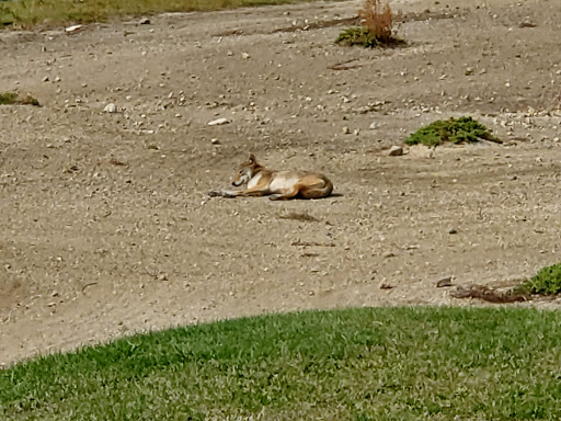 Golf Course «Klein Creek Golf Club», reviews and photos, 1N333 Pleasant Hill Rd, Winfield, IL 60190, USA