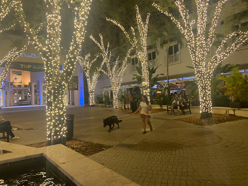 Seafood Restaurant «Ocean Prime», reviews and photos, 699 5th Ave S, Naples, FL 34102, USA