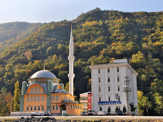 Hafız Hasan Kaan Kuran Kursu