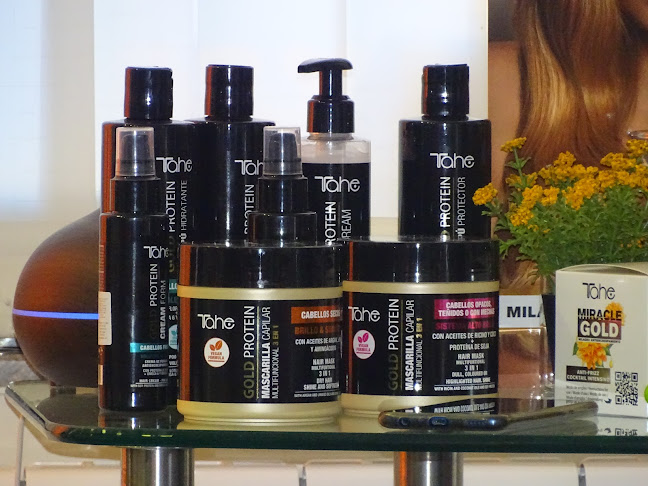 ЦентърРайон Централен, ул. „Елиезер Калев“ 2, 4000 Пловдив