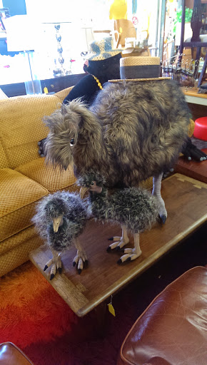 Furniture Store «Circa», reviews and photos, 1700 Allied St, Charlottesville, VA 22903, USA