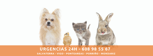 Clínica Veterinaria Tea Ponteareas en Ponteareas