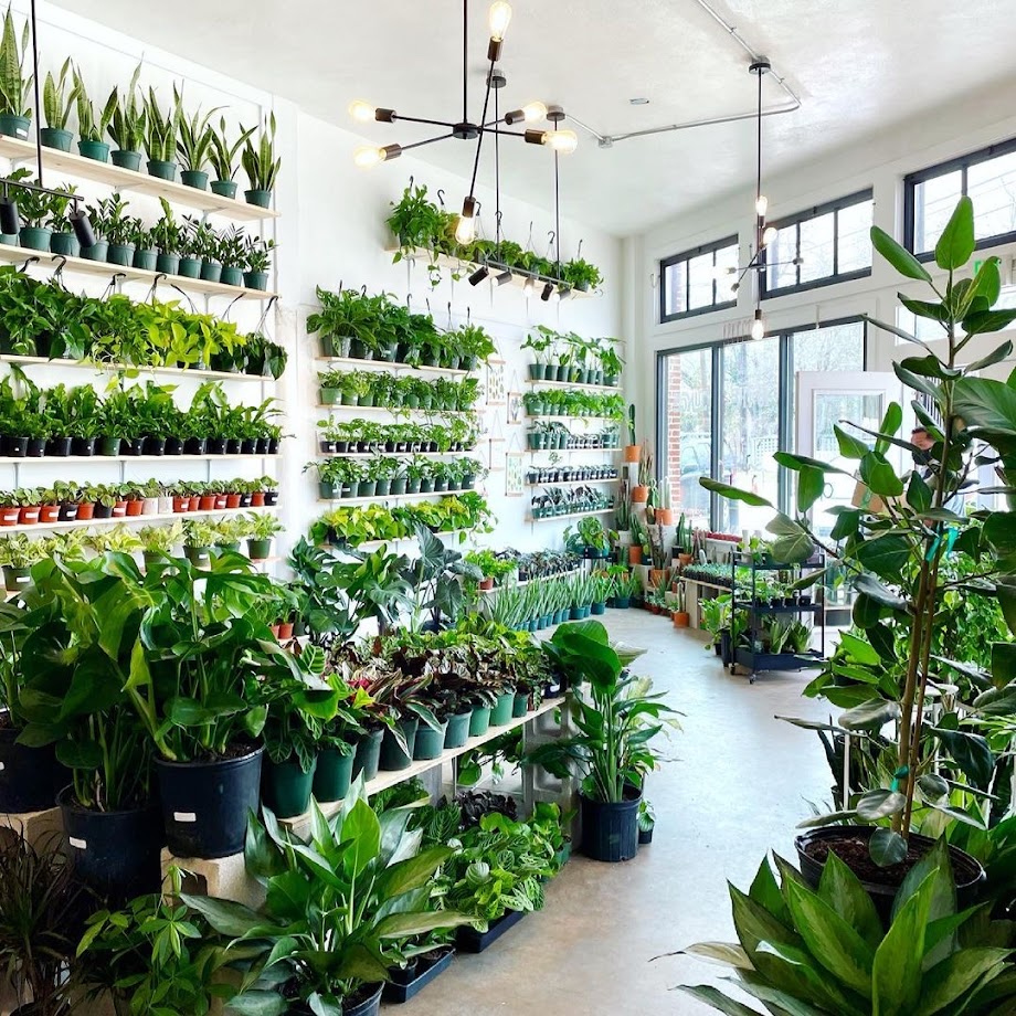 Plant Shoppe