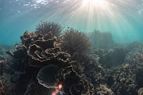 Water Born Studios - Photo 5 - Car repair in Burlington, VT, Burlington