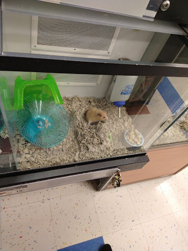 Pet Supply Store «Petco Animal Supplies», reviews and photos, 3150 Erie Blvd E #500, Syracuse, NY 13214, USA