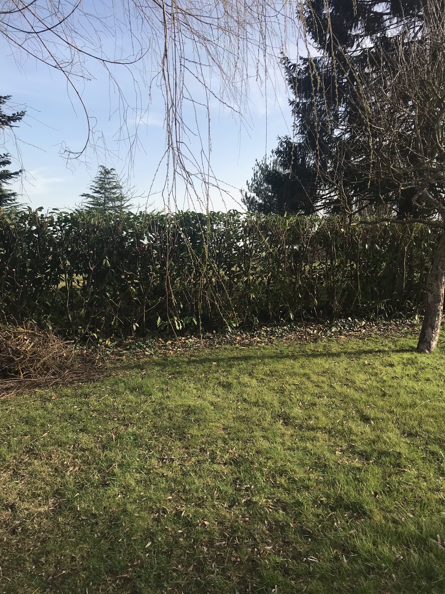 Photo n° 1 de l'avis de Luis.e fait le 25/02/2021 à 09:16