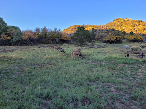 Campground «Morefield Campground», reviews and photos