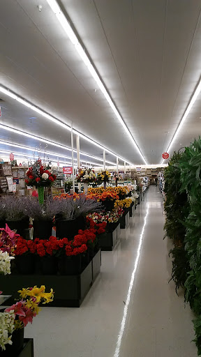 Craft Store «Hobby Lobby», reviews and photos, 2013 Cromwell Dixon Ln, Helena, MT 59602, USA