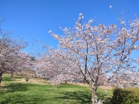 物見山運動公園石のステージ