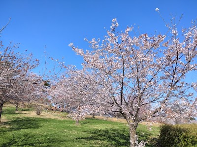 物見山運動公園石のステージ