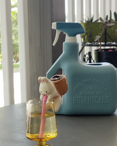 Toy Store «Happy Up Inc. - previously Once Upon a Toy», reviews and photos, 6654 Edwardsville Crossing Dr, Edwardsville, IL 62025, USA