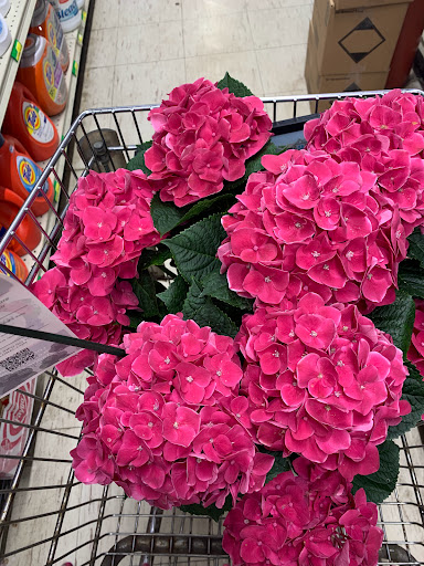 Grocery Store «Penny Lake Grocery», reviews and photos, 1270 S Commerce Rd, Walled Lake, MI 48390, USA