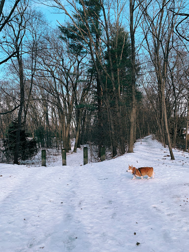 Park «Cold Spring Park», reviews and photos, Beacon St, Newton, MA 02461, USA