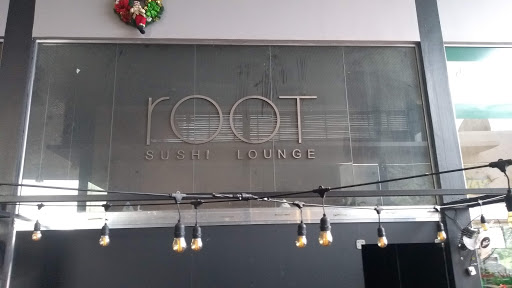 Root Hookah Lounge