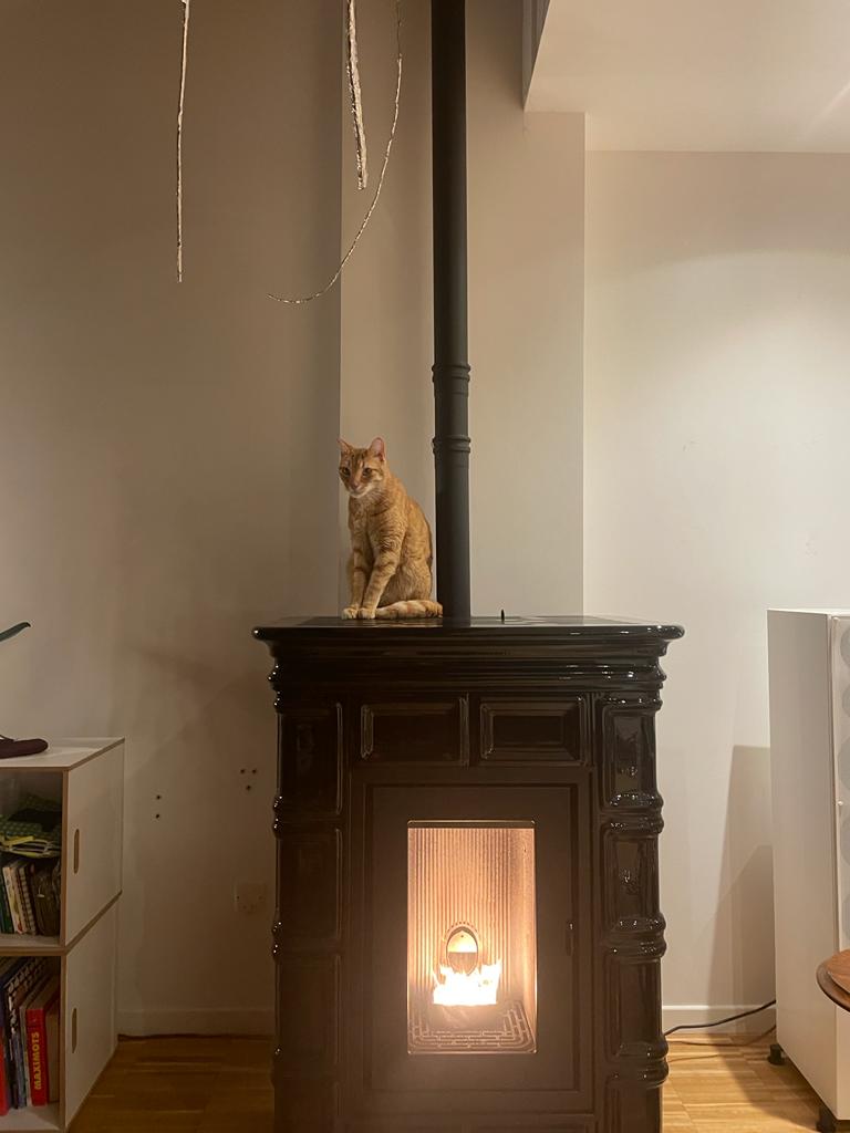 Photo n° 1 de l'avis de Toan.u fait le 16/01/2022 à 23:03