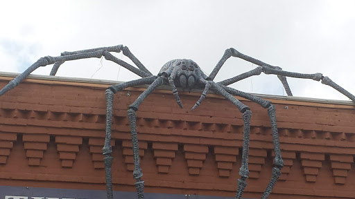 Gift Shop «Good Things For All Seasons», reviews and photos, 334 S Main St, Grapevine, TX 76051, USA