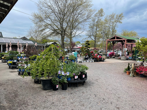 Florist «Bayport Flower Houses, Inc.», reviews and photos, 940 Montauk Hwy, Bayport, NY 11705, USA