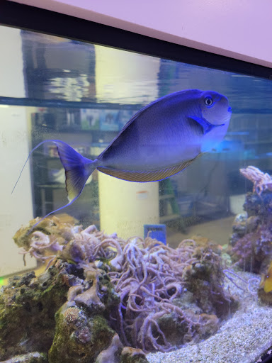 Pet Store «Advanced Aquatics», reviews and photos, 6560 E 41st St, Tulsa, OK 74145, USA
