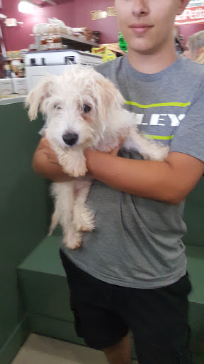 Pet Store «Petland Hoffman», reviews and photos, 11 Golf Center, Hoffman Estates, IL 60169, USA