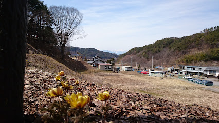 福寿草群生地