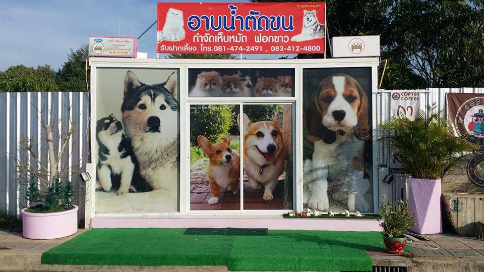 ร้าน WORLD DOG อาบน้ำตัดขนสุนัขนครสวรรค์
