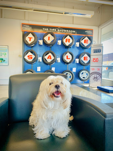 Tire Shop «Firestone Complete Auto Care», reviews and photos, 232 W Main St, Belleville, IL 62220, USA