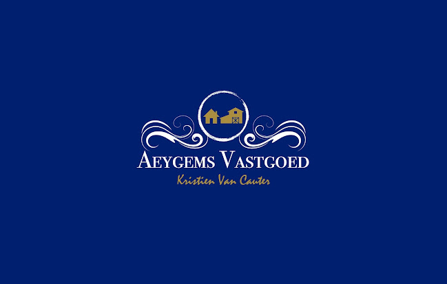 Beoordelingen van Aeygems Vastgoed in Aalst - Makelaardij
