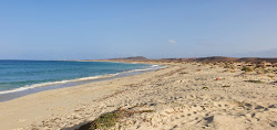 Photo de Praia das Gatas avec un niveau de propreté de assez propre