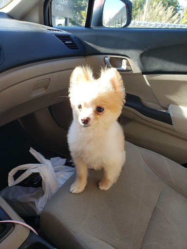 Pet Store «Pet Central», reviews and photos, 13004 SE Kent-Kangley Rd, Kent, WA 98030, USA