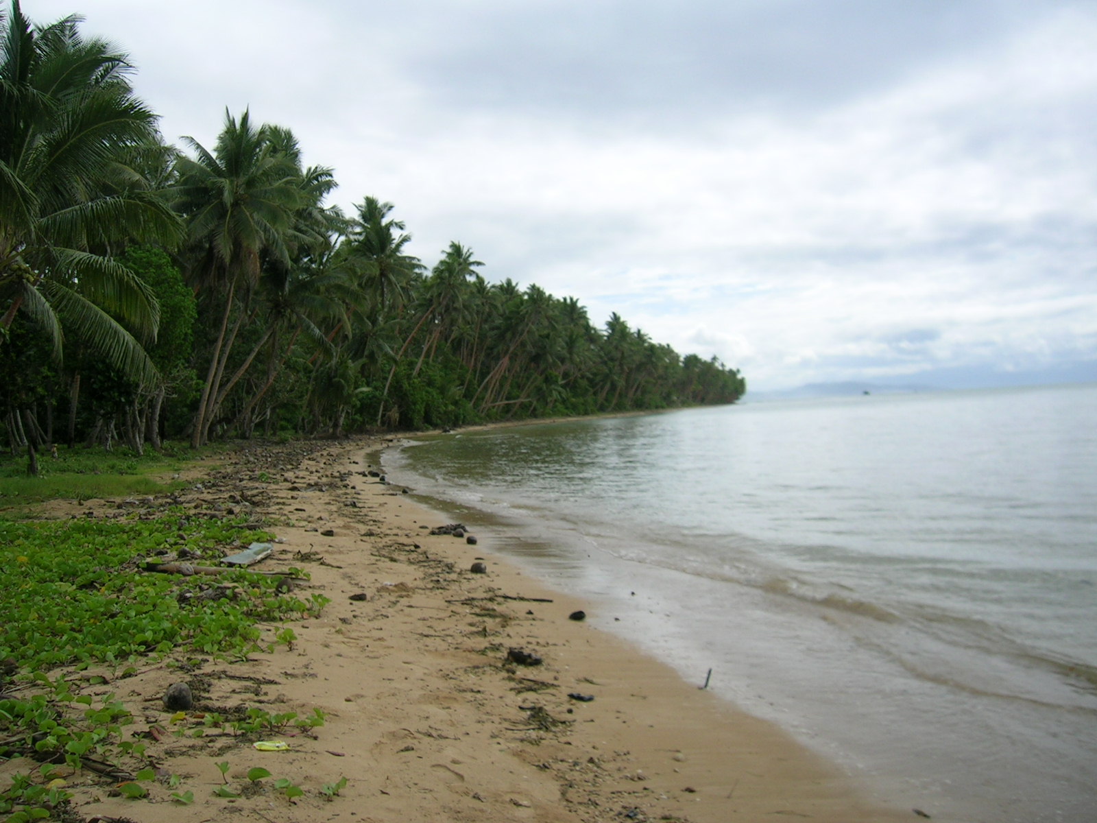 Kasavu Beach的照片 带有碧绿色纯水表面