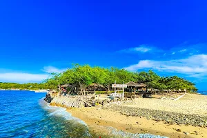 Badiango Island Resort image
