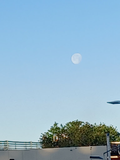 Park «Virginia Park», reviews and photos, 1878 Cross Bronx Expy, Bronx, NY 10472, USA