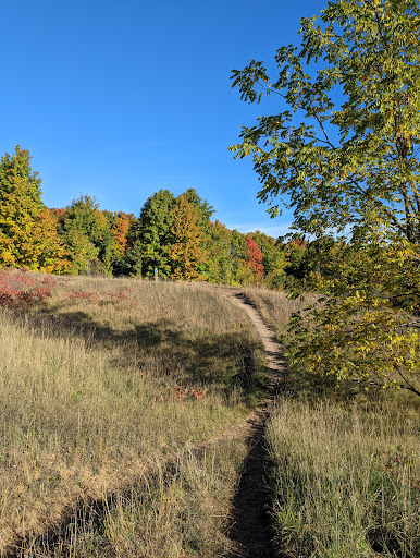 Grand Traverse Commons Natural Area