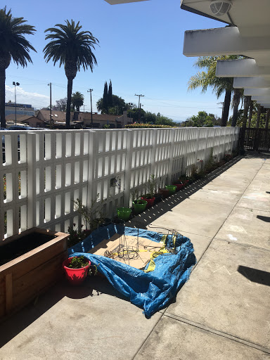 Gym «San Pedro & Peninsula YMCA», reviews and photos, 301 S Bandini St, San Pedro, CA 90731, USA