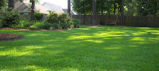 A-1 Lawn Service - Photo 8 - Car repair in Erie, CO, Thornton