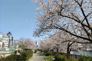 Minamitenma Park image