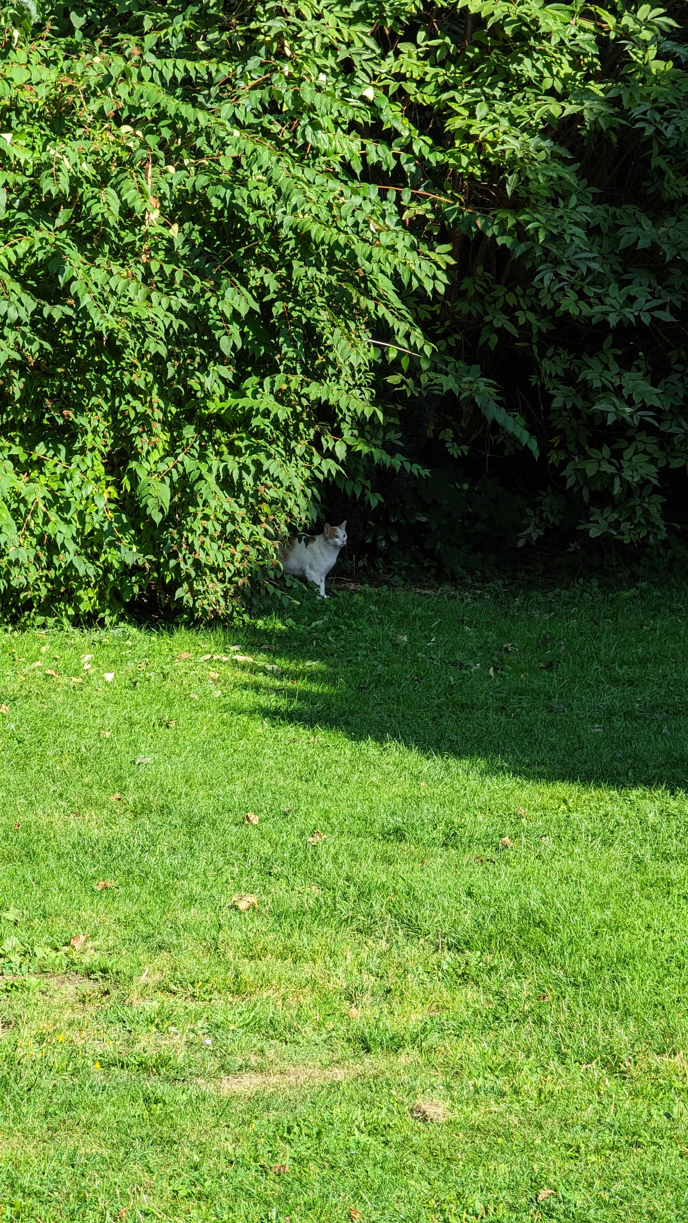 Photo n° 1 de l'avis de Julien.a fait le 26/08/2023 à 13:46