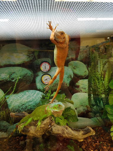 Pet Supply Store «Petco Animal Supplies», reviews and photos, 247 N Washington Hwy, Ashland, VA 23005, USA