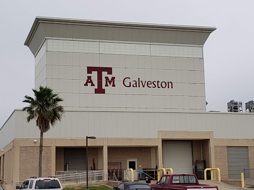 Texas A&M University at Galveston