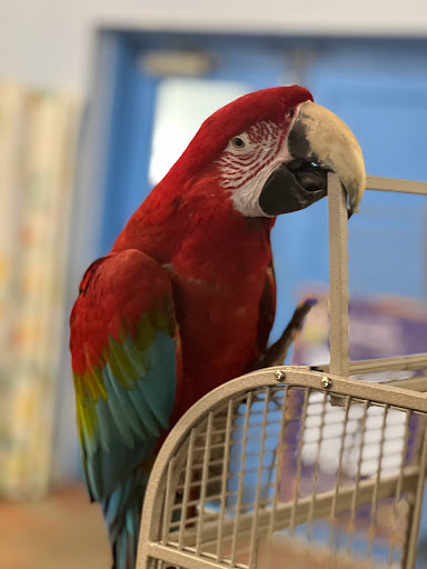 Pet Store «Fins Feathers Paws Claws», reviews and photos, 201 Station Rd, Quakertown, PA 18951, USA