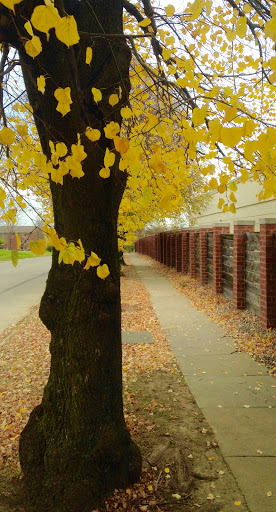 Supermarket «Hy-Vee», reviews and photos, 1700 Valley W Dr, West Des Moines, IA 50266, USA