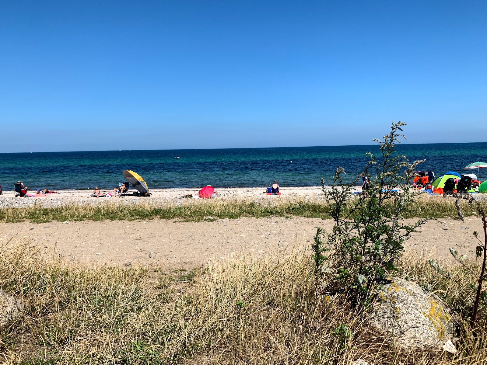 Foto af Hohenfelde strand - populært sted blandt afslapningskendere