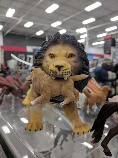 Craft Store «Michaels», reviews and photos, 340 Crossroads Blvd, Cary, NC 27511, USA