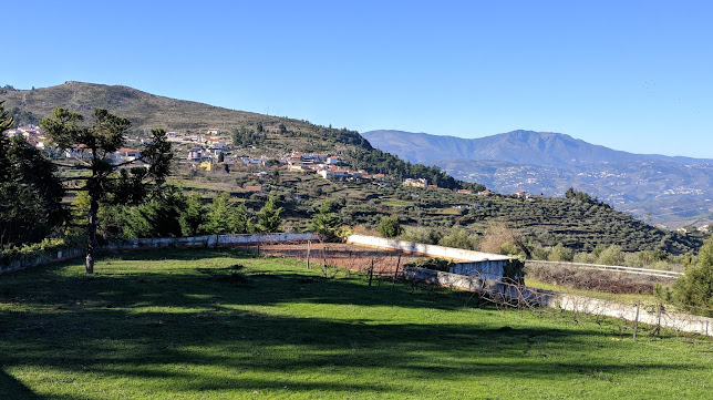 Casa da Raposeira, Douro Valley - Barcelos