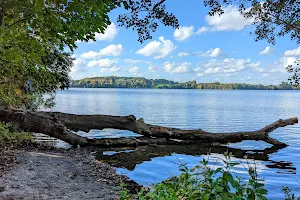 Suhrer lake and surrounding area image