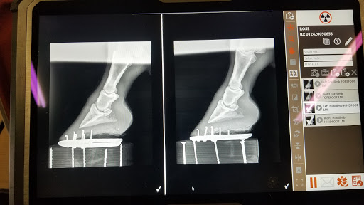 505 FM2578, Terrell, TX 75160, USA