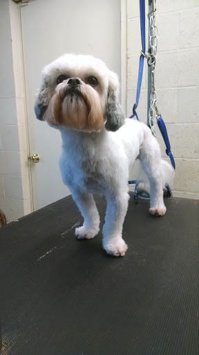 Growlin Al's Grooming Garage