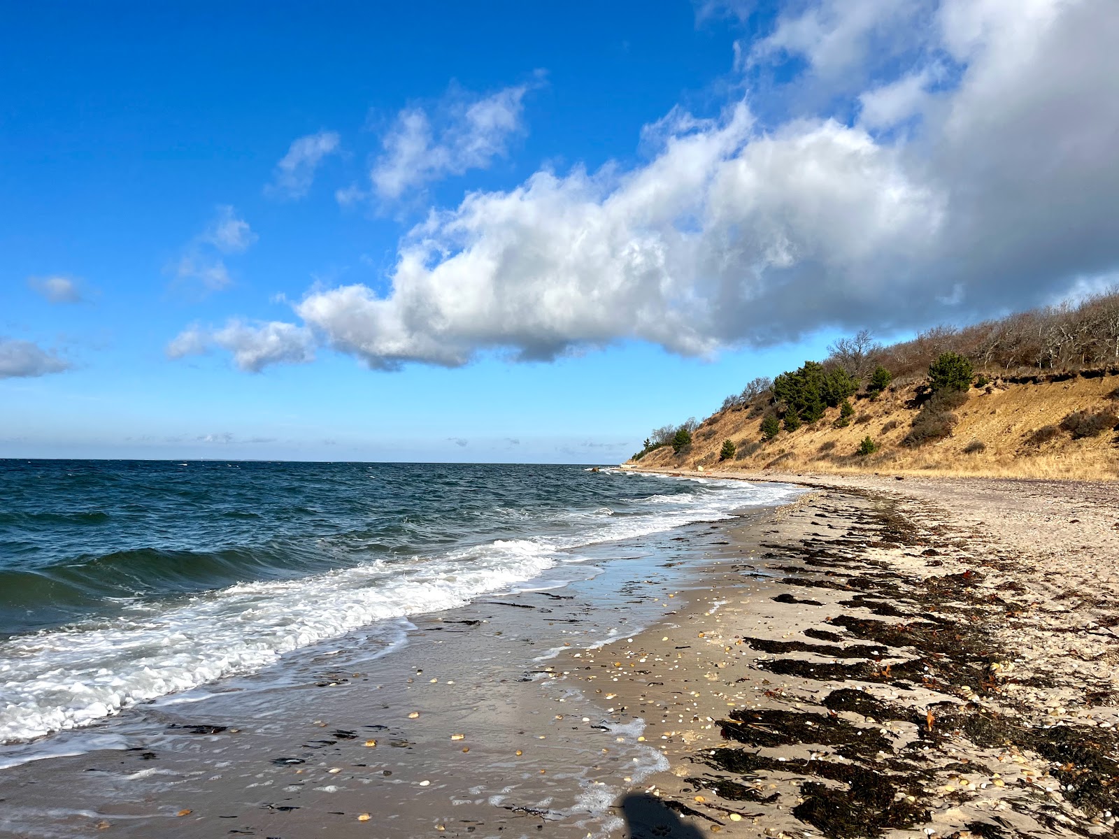 Fotografija Maidstone Beach z srednje stopnjo čistoče